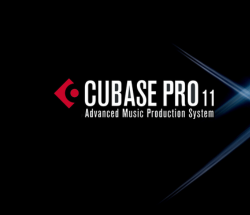 Cubase 11 Pro Full Crack